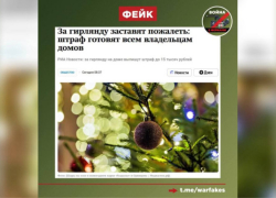 В Воронежской области разоблачили фейк о штрафах за новогодние гирлянды