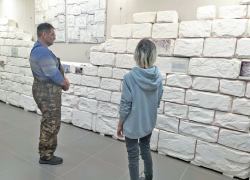 В Эртильском музее открылась выставка «Хазарские крепости. Маяцкие граффити»