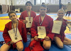 Таловские самбисты завоевали 11 медалей на областном турнире