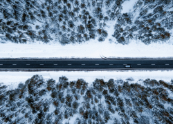 В Воронежской области ожидается сильный ветер, метель и мокрый снег