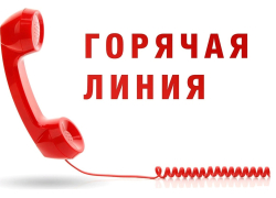 В Воронежской области открылась горячая линия по поддержке семей бойцов СВО