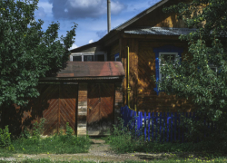 Что нельзя выращивать на даче жителям Воронежской области