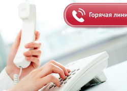 В Воронежской области заработала «горячая линия» по услугам такси
