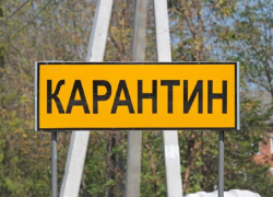 В Панино на три месяца ввели карантин по бешенству