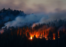В Воронежской области вырос уровень пожарной опасности