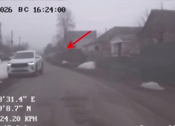 В Панинском районе пьяный водитель пытался уехать от полицейских