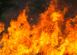 В Воронежской области установился пятый класс пожарной опасности