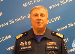 В МЧС обратились к жителям Воронежской области после гибели ребёнка на реке