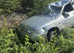 В Бобровском районе пенсионер на ВАЗе сбил косулю