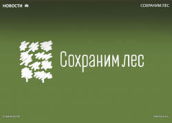 В Воронежской области проходит акция «Сохраним лес»