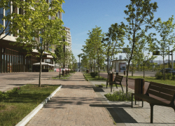 Жителям Воронежской области назвали места для благоустройства в 2026 году