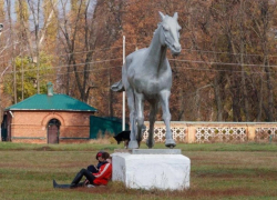 В Бобровском районе установят памятник коню