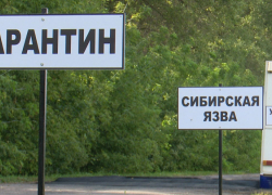 В Воронежской области выздоровели ещё четверо пациентов с сибирской язвой