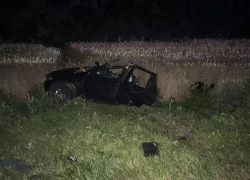 Воронежская семья с 2 детьми погибла в страшном ДТП в Тамбовской области