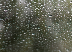 В Воронежской области дождливая погода снизила пожарную опасность