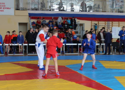 В Таловой проходит всероссийский турнир по самбо