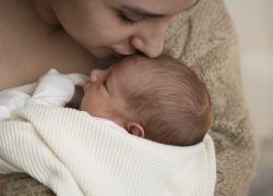 В Воронежской области сократили сроки рассмотрения заявлений об использовании маткапитала