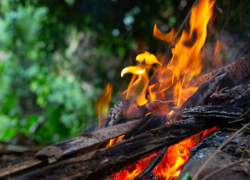 В 12 районах Воронежской области объявили 3 класс пожарной опасности