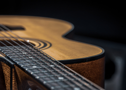 Жителей Панинского района приглашают на мастер-класс «Гитара – музыка веков»