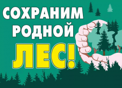 Воронежская область присоединится к акции «Сохраним лес»