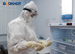За сутки зараженных COVID-19 стало на 220 человек больше в Воронежской области