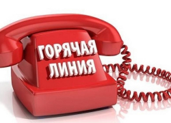 Жителям Воронежской области помогут выбрать качественные овощи и фрукты