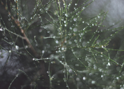 В Воронежской области похолодает до 0 градусов