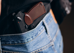 В Воронежской области росгвардейцы за неделю изъяли 17 единиц оружия