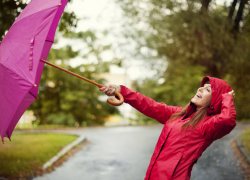 В Воронежской области введут жёлтый уровень опасности из-за сильного ветра
