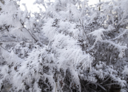 В Воронежской области на выходных похолодает до -24 градусов