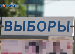 ЦИК отклонил заявку Воронежской области на электронные выборы депутатов Госдумы