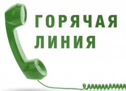 В Воронежской области запустили горячую линию по вопросам контрафакта
