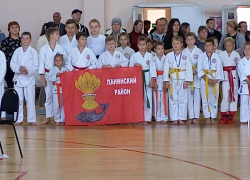 Панинские каратисты завоевали 24 медали на областных соревнованиях