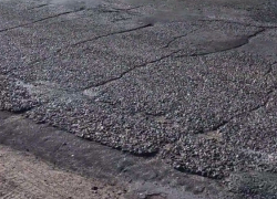 Аннинский предприниматель украл деньги у правительства