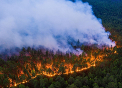 В Воронежской области в 31 районе действует высокий уровень пожарной опасности