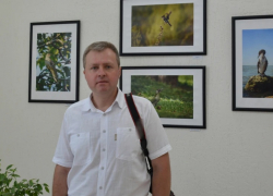 Жителей Аннинского района приглашают на выставку фотографий птиц