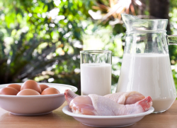 В Россию ограничили ввоз продукцию четырёх белорусских производителей