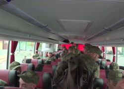 30 воронежских бойцов вернулись из украинского плена 