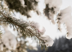 В Воронежской области продлили желтый уровень погодной опасности по гололедице