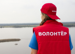 В Воронежской области нашли тела трех пропавших без вести