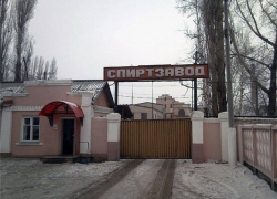 У Аннинского спиртзавода не смогли аннулировать лицензию 