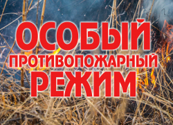 В Воронежской области отменили особый противопожарный режим