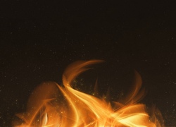 В Эртильском селе в пожаре погиб 65-летний мужчина