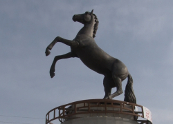 В Бобровском районе установили памятник орловскому рысаку