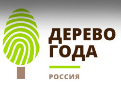 Жителей Воронежской области просят проголосовать за 300-летний дуб на конкурсе деревьев