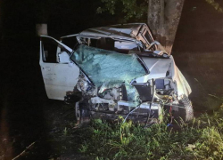 Таловскую автомобилистку оставили на свободе после гибели 6-летнего сына