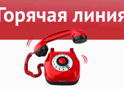В Воронежской области запустили две горячие линии