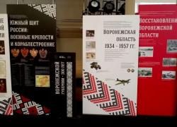 В Панино открылась передвижная выставка «Три века истории Воронежской губернии»