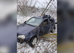 В Панинском районе «Лада Калина» вылетела в кювет и врезалась в дерево
