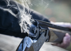 В Воронежской области утвердят норму на отстрел диких животных